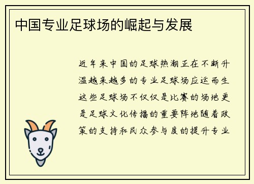 中国专业足球场的崛起与发展