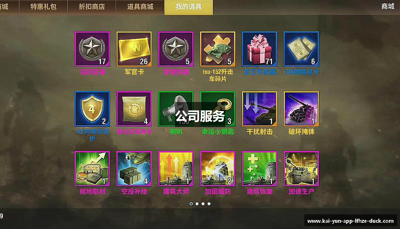 公司服务